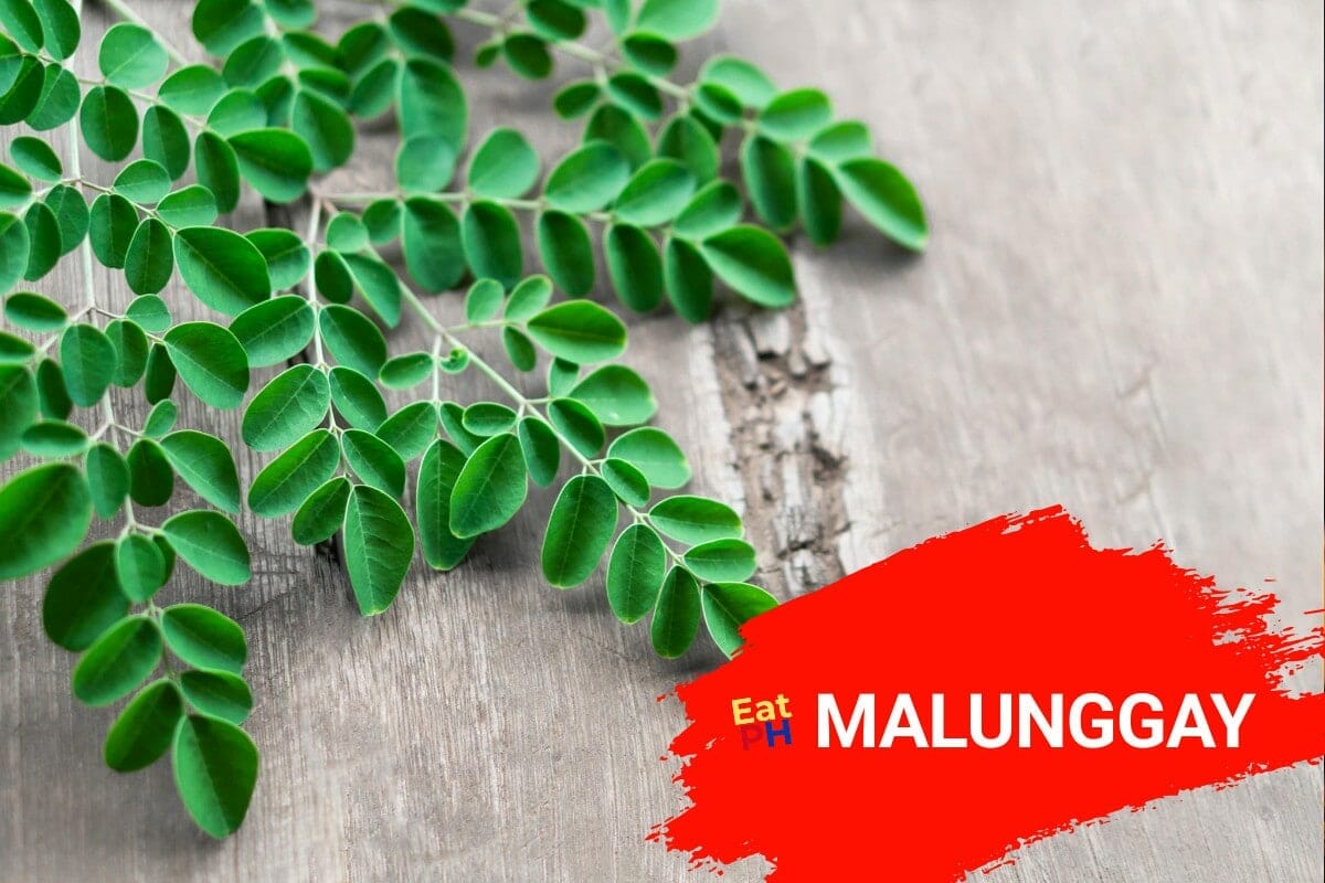 Malunggay Moringa