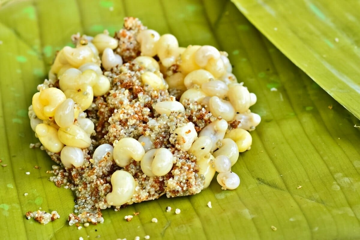 filipino ant eggs delicacy