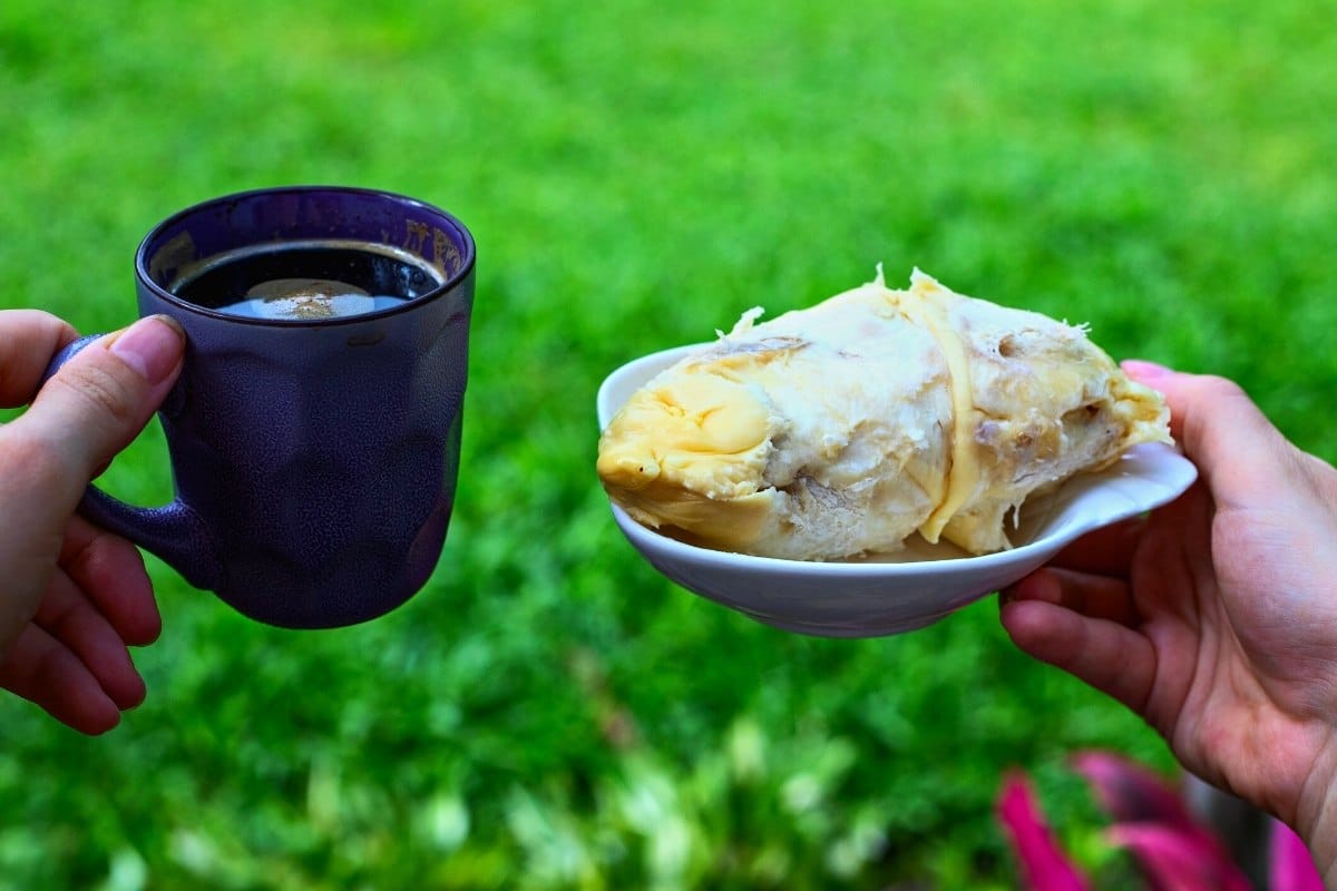 filipino durian coffee and durian fruit